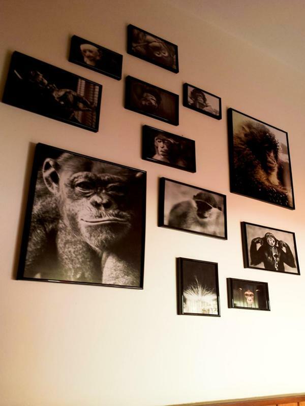 The Mellow Monkey Hostel Zadar Exteriér fotografie